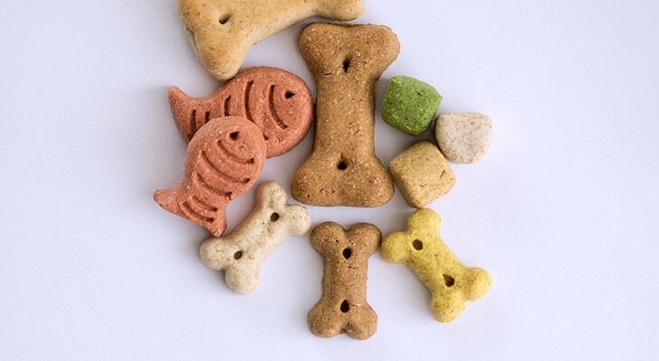 15 Easy Homemade Dog Treat Recipes