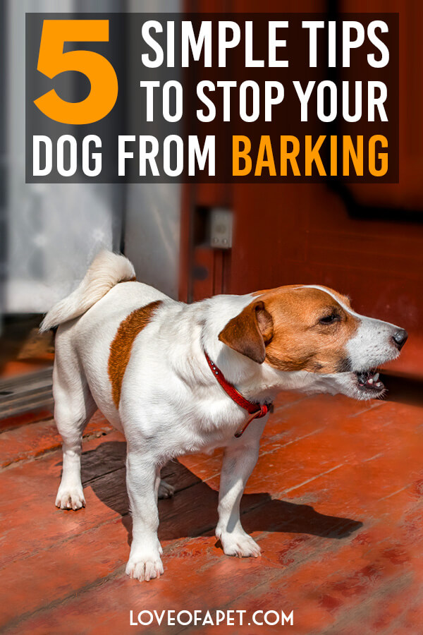 How to Stop Your Dog From Barking 5 Simple Tips Love Of