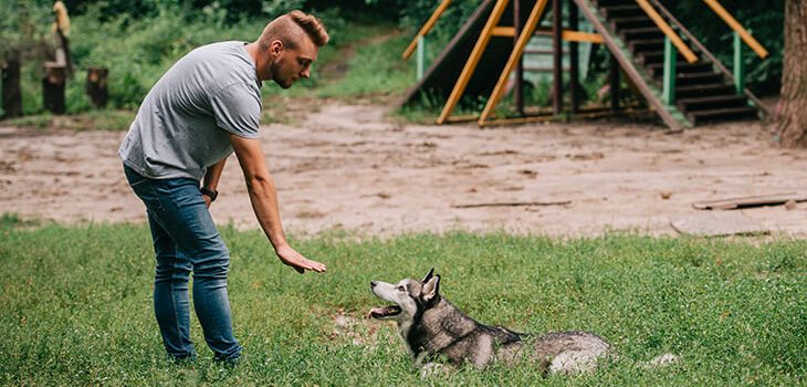 Dog Training With Hand Signals: What You Need to Know?