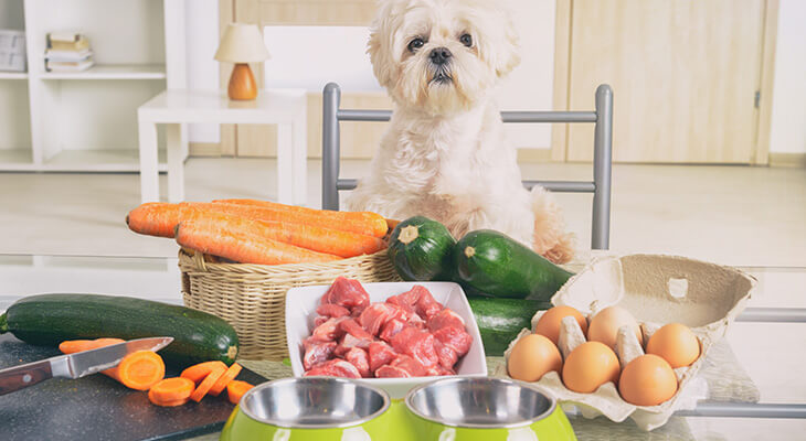 A List of Human Foods Dogs Can and Can't Eat