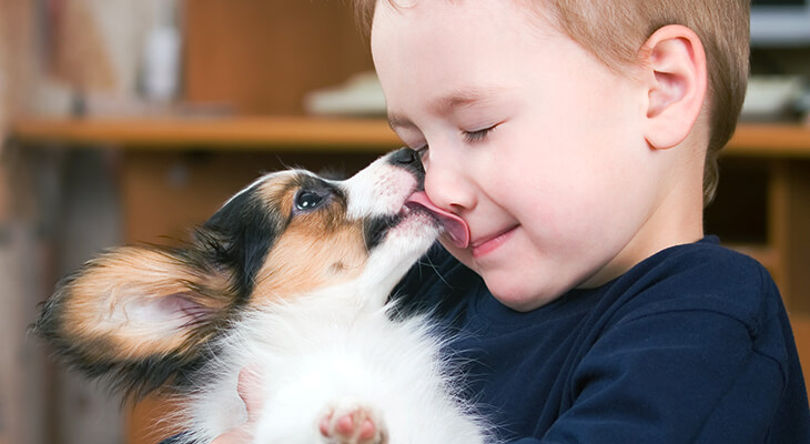 Best Dogs for Kids and Families