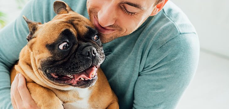 What Are the Signs Your Dog Loves You