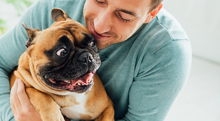 What Are the Signs Your Dog Loves You