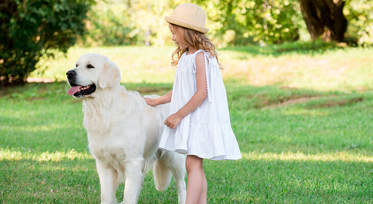 8 Fun Games Kids Can Play With Dogs