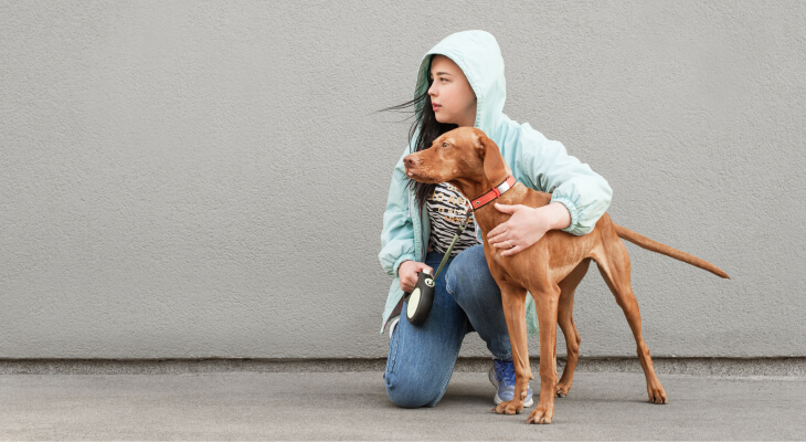 13 Ways Dogs Communicate with You
