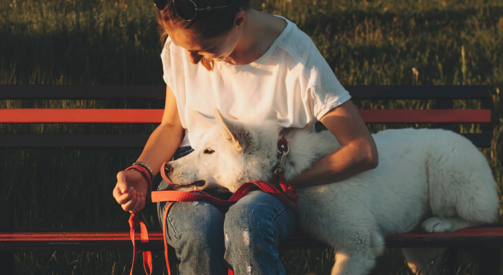 7 Signs Your Dog Trusts You with His Life
