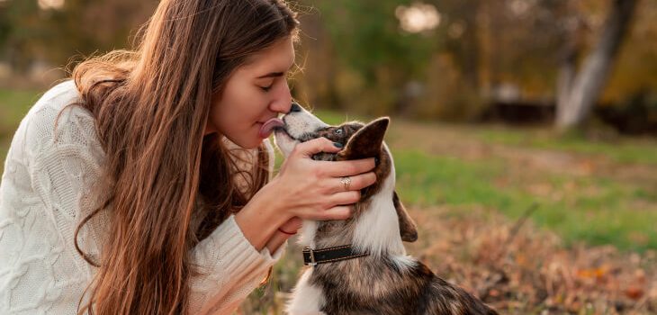 10 Intriguing Facts About Dog Kisses You Never Knew