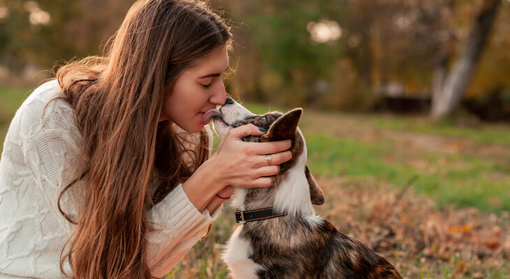 10 Intriguing Facts About Dog Kisses You Never Knew