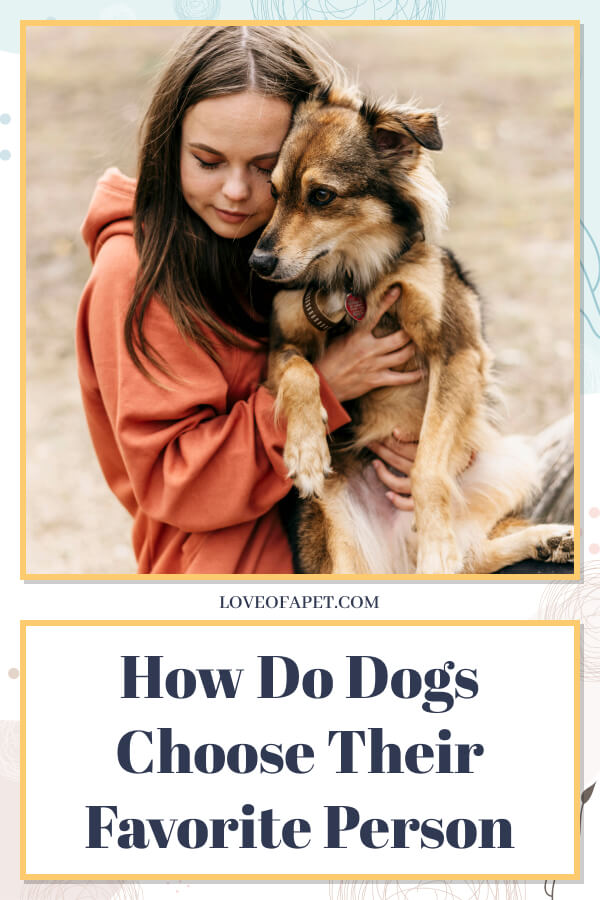 How Do Dogs Choose Their Favorite Person